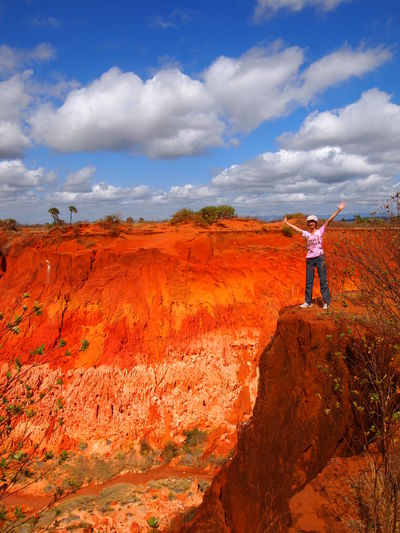投稿：レッドツインギー
