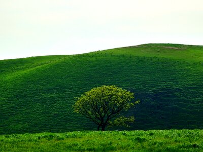  | 絶景事典