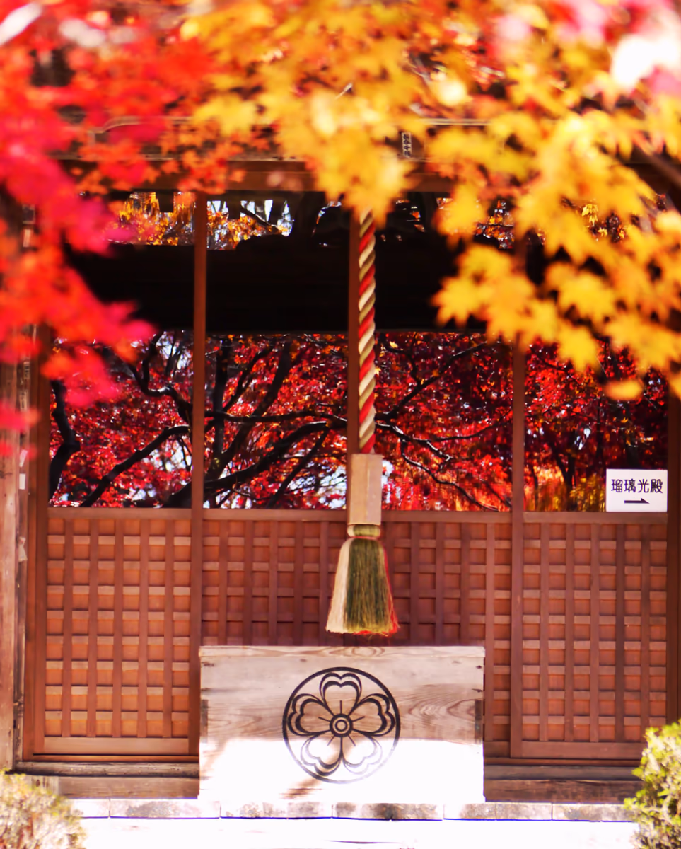 投稿写真：秋色京都🍁花の寺 天台宗 勝持寺 阿弥陀堂