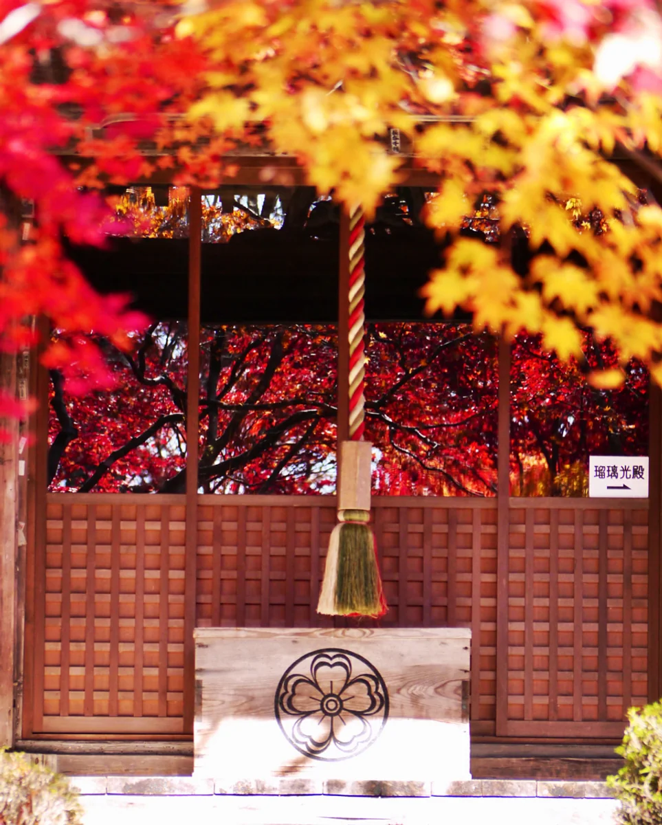 投稿写真：秋色京都🍁花の寺 天台宗 勝持寺 阿弥陀堂