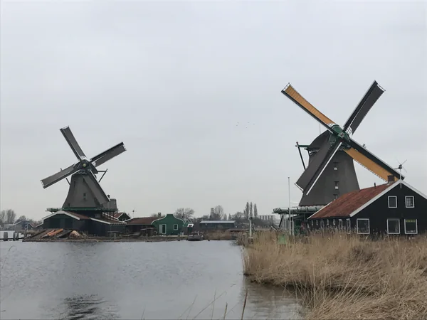 投稿：ザーンセ・スカンスの風車村
