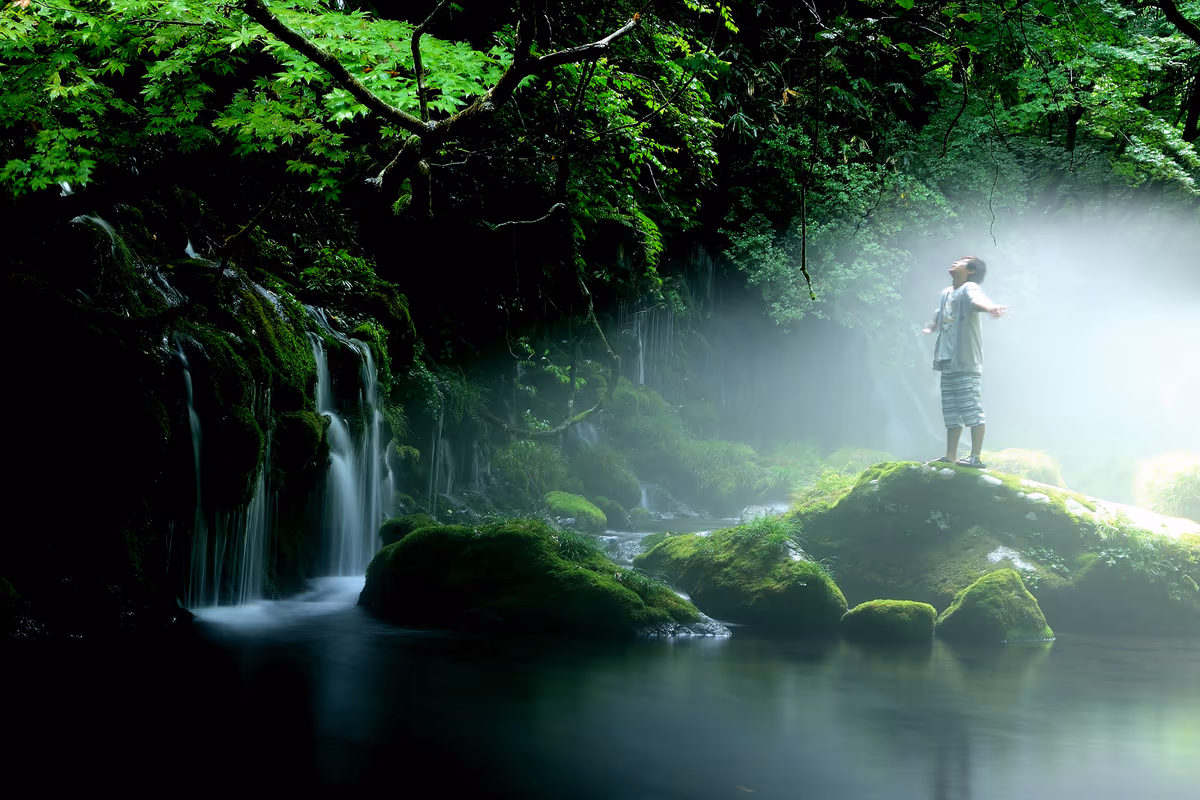投稿写真：朝靄に包まれ