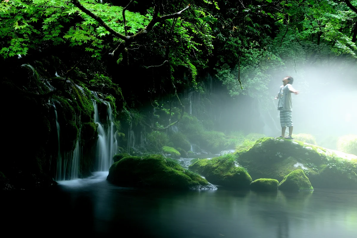 投稿写真：朝靄に包まれ