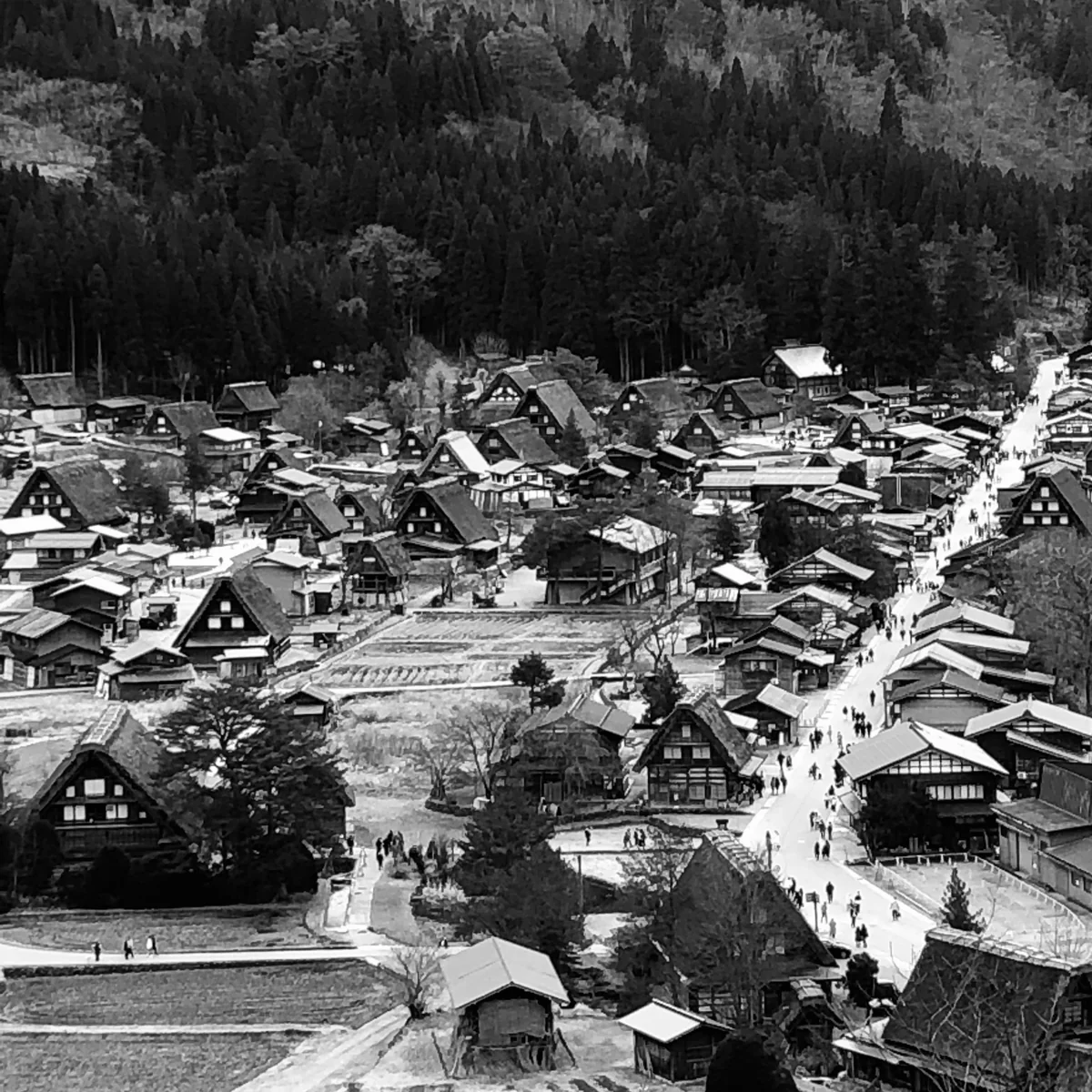 投稿写真：城山天守閣展望台