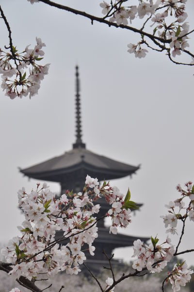  | 絶景事典