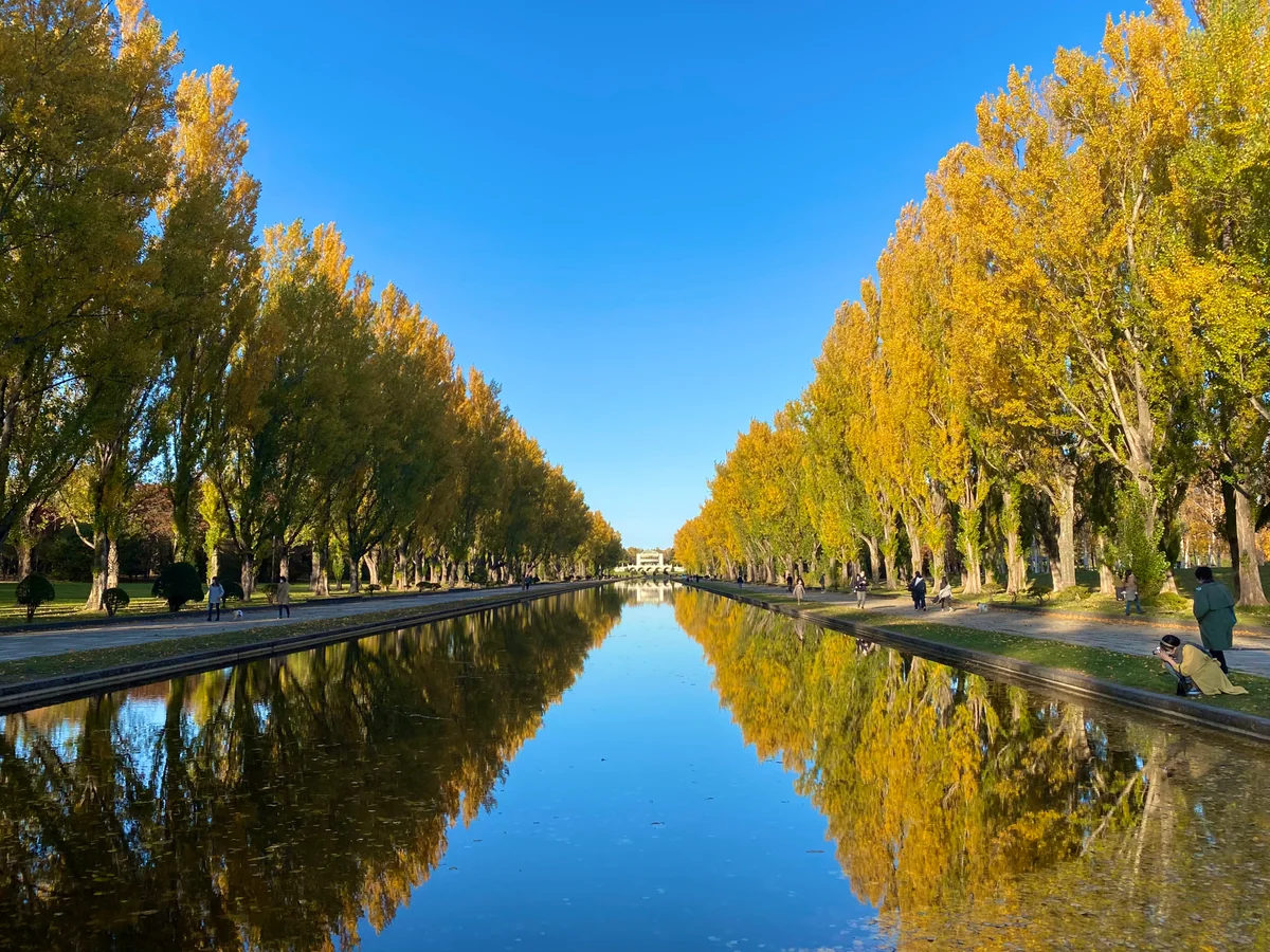 投稿写真：秋燃ゆる鬱金色