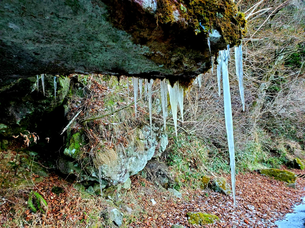 投稿写真：刃のような牙のような氷柱