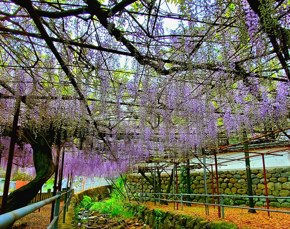 千夏さんの投稿写真