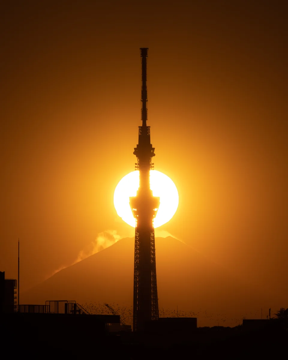 投稿写真：日本一の共演