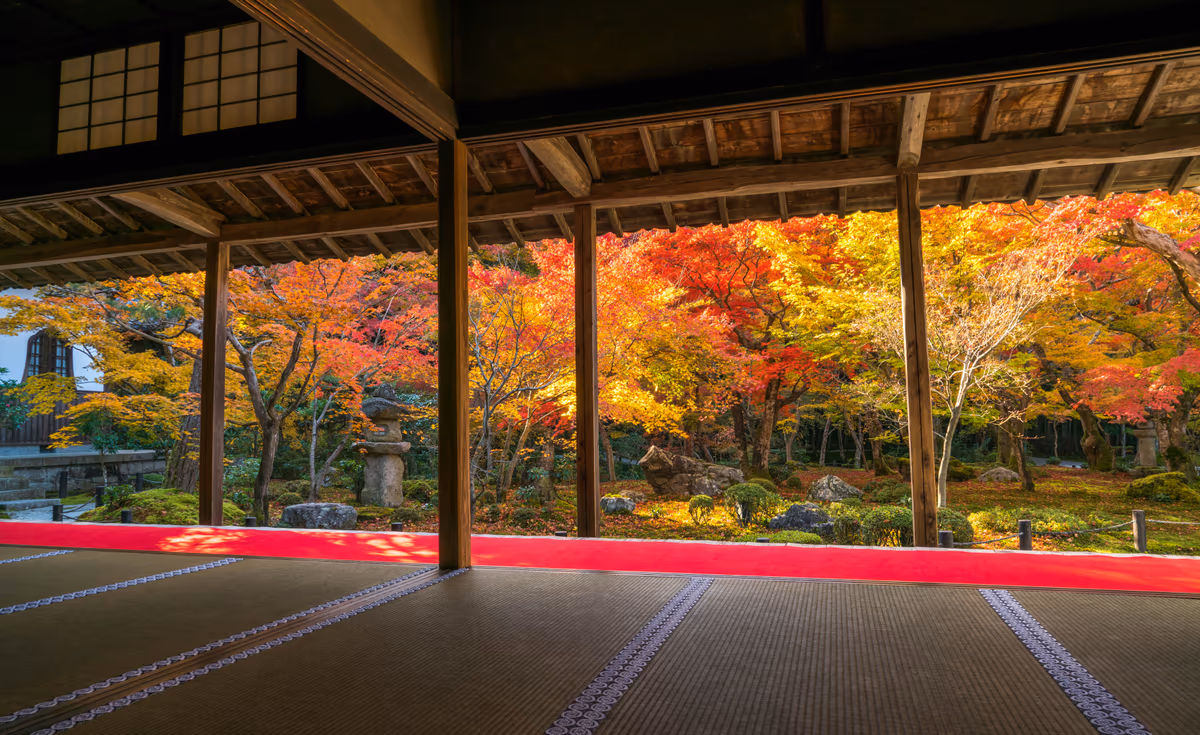 投稿写真：圓光寺　秋の十牛之庭