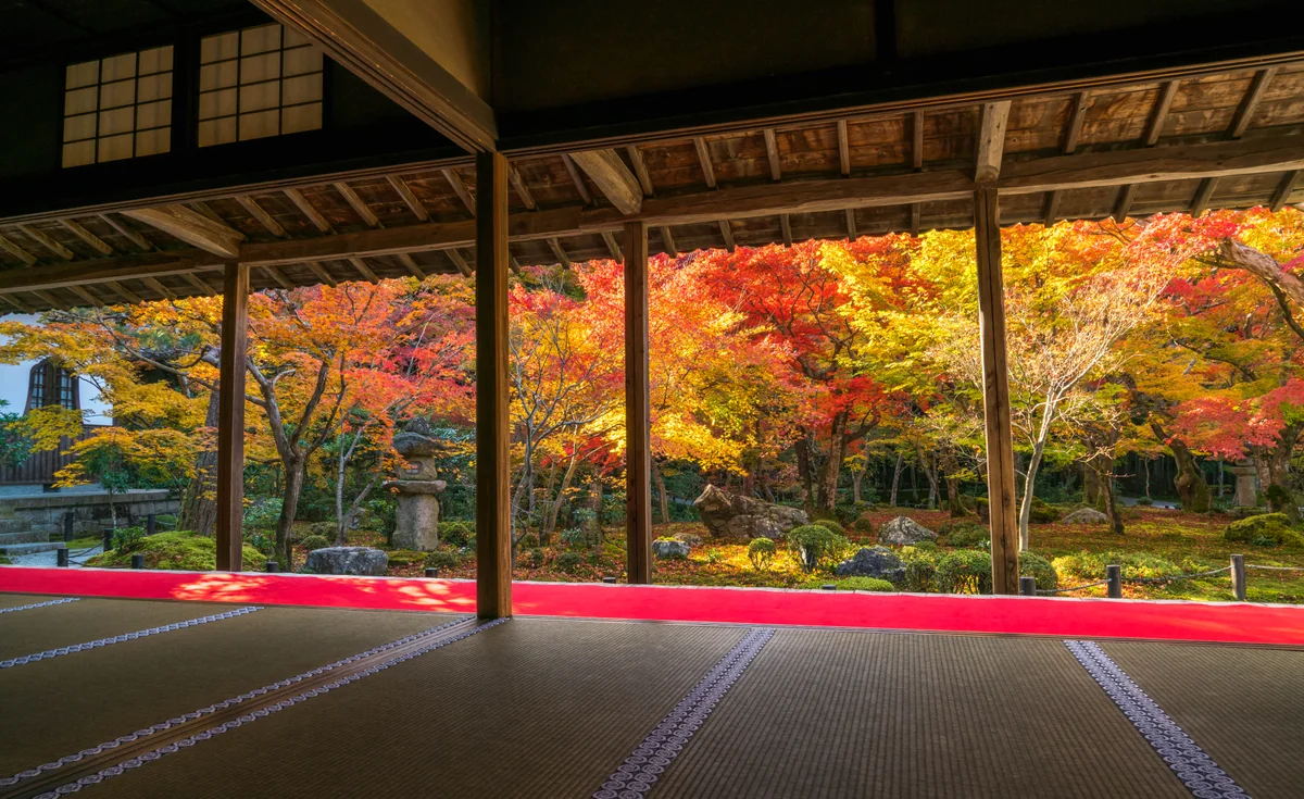 投稿写真：圓光寺　秋の十牛之庭