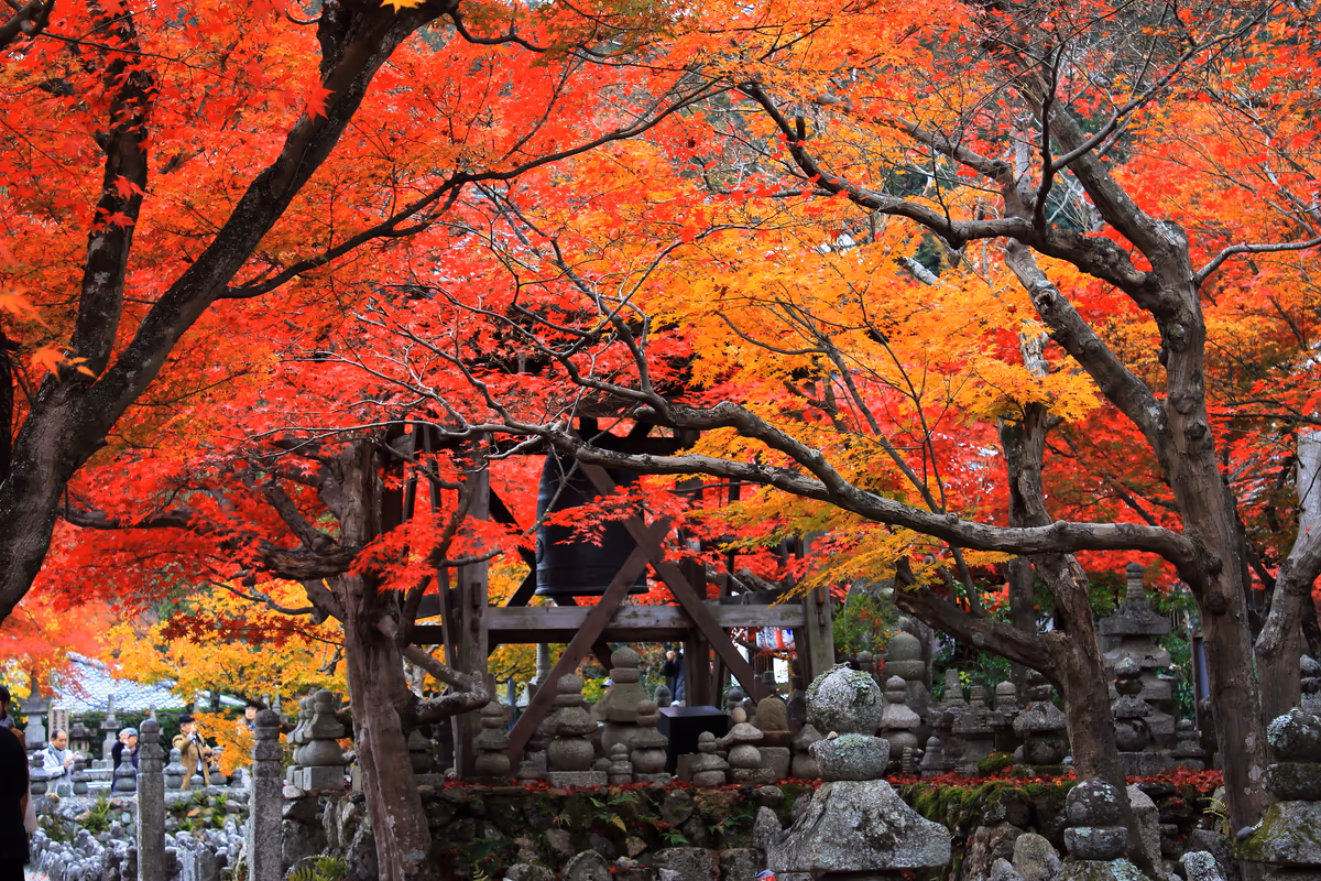投稿写真：化野の念仏寺