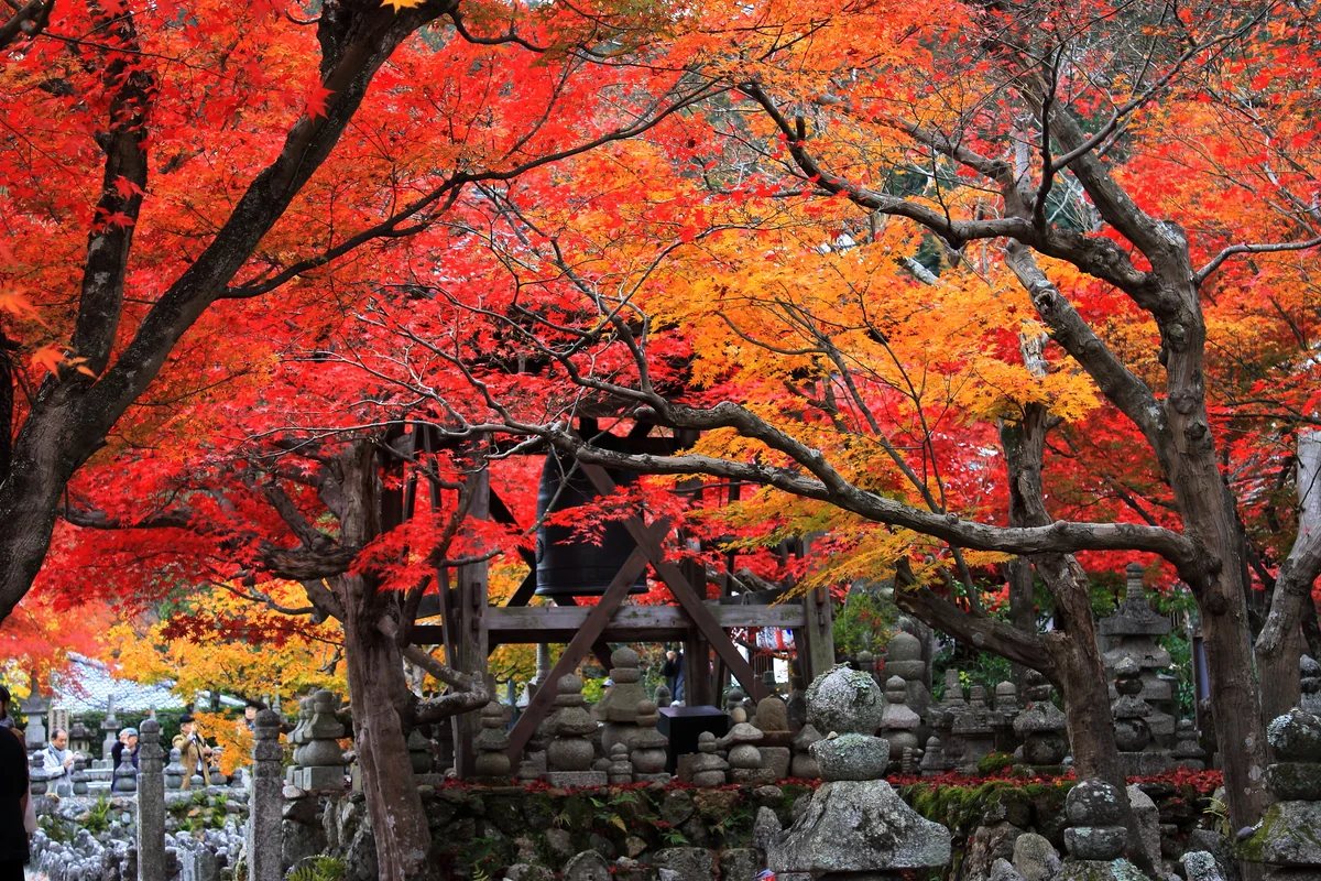 投稿写真：化野の念仏寺