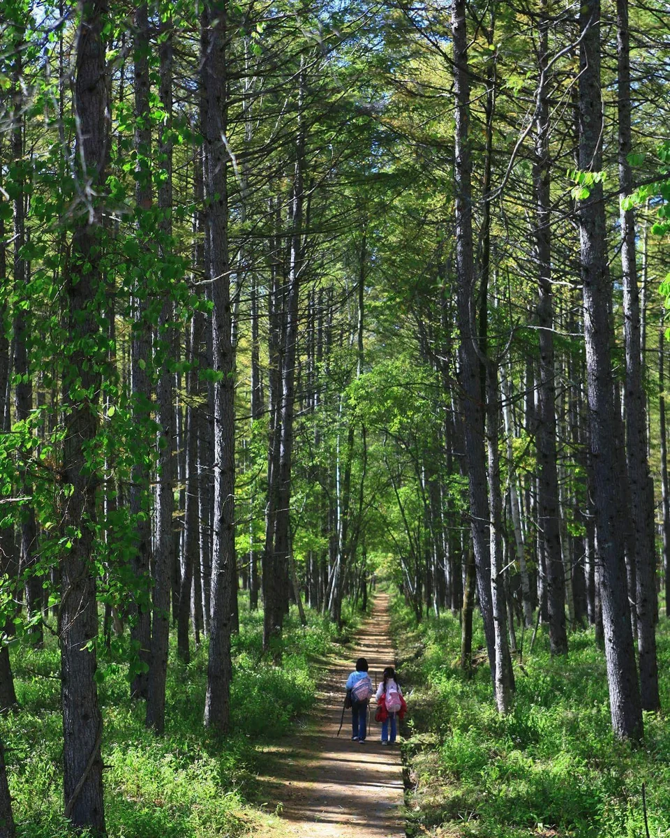 投稿写真：未来へ
