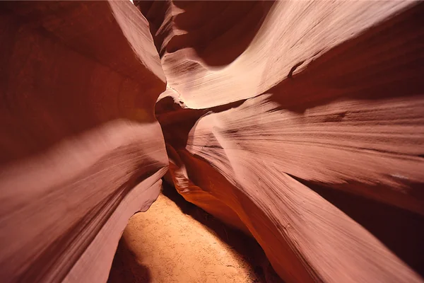 投稿：ロウワーアンテロープ