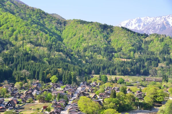 投稿：新緑に囲まれた合掌造り集落