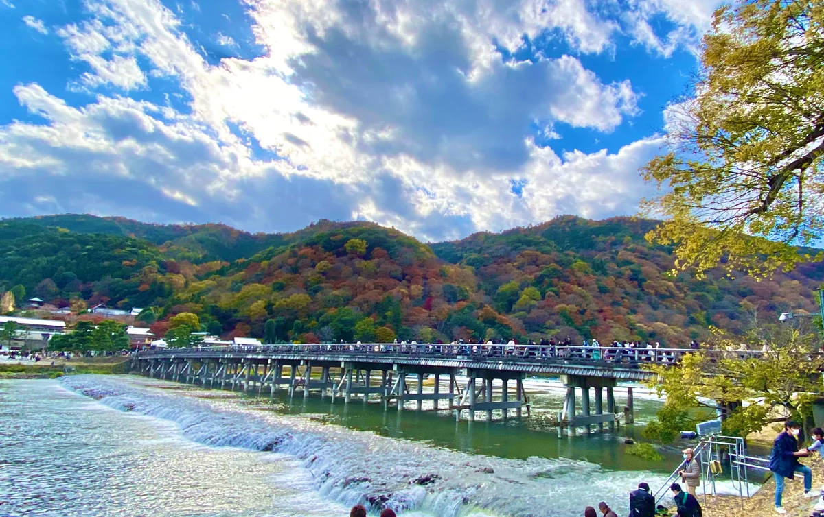 投稿写真：🍁錦の嵐山と渡月橋🍁