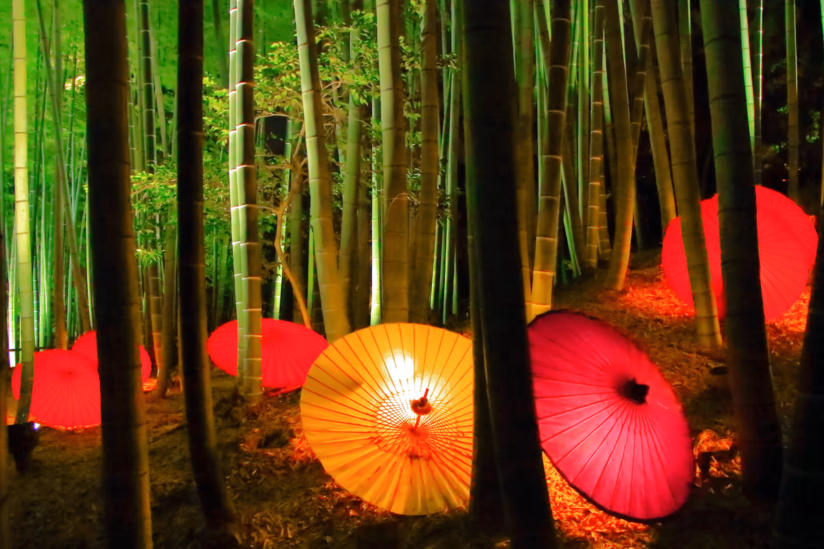 投稿写真：高台寺ライトアップ