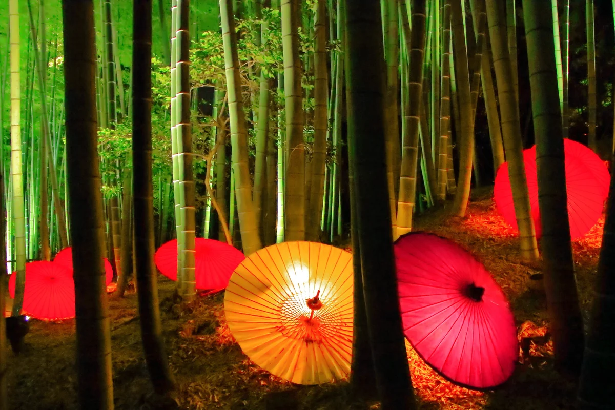 投稿写真：高台寺ライトアップ