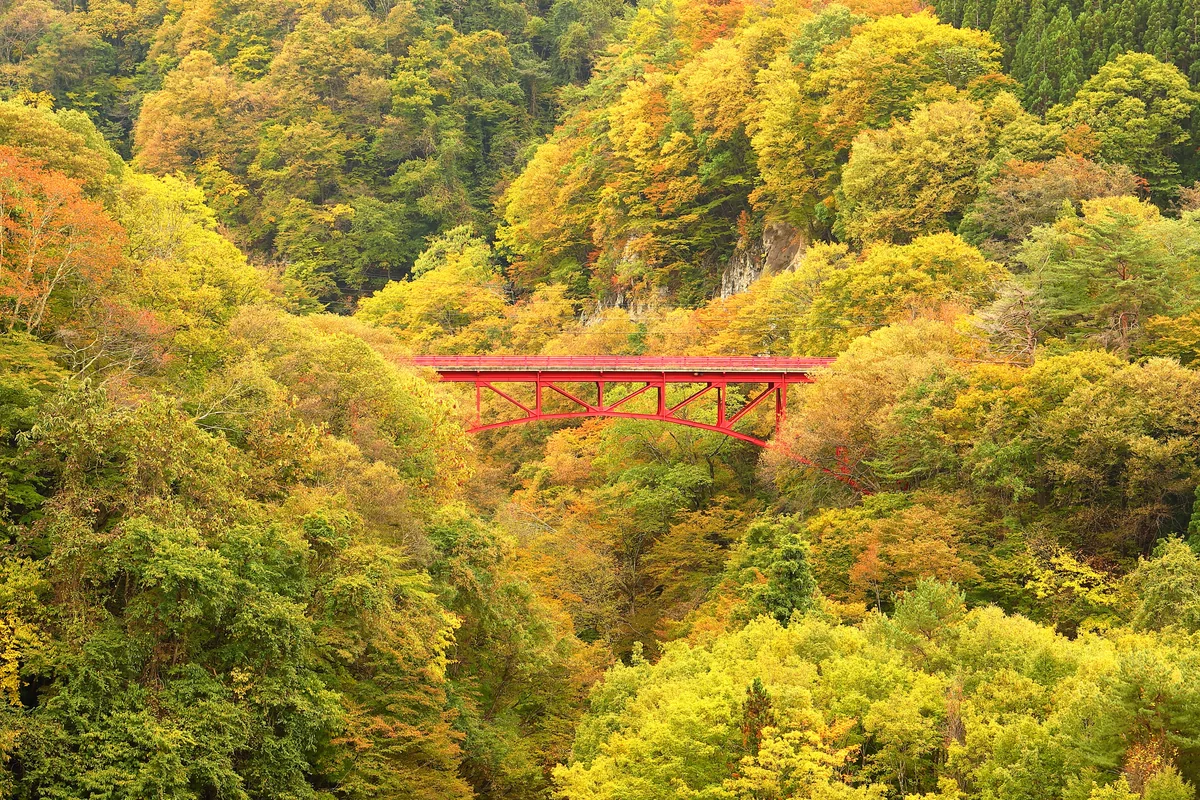 投稿写真：紅葉の松川渓谷高井橋