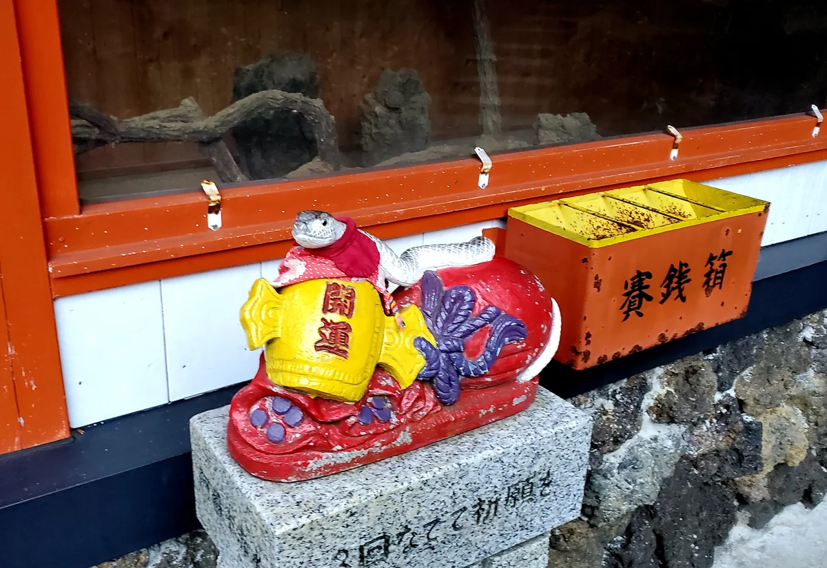 投稿写真：優しく撫でて下さい