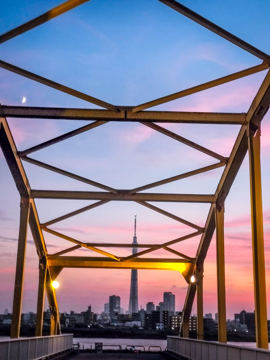 投稿写真：スカイツリー夕景~黄色い橋と一緒に