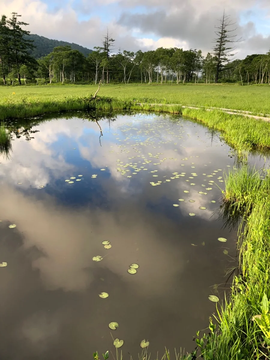 投稿写真：雨上がり