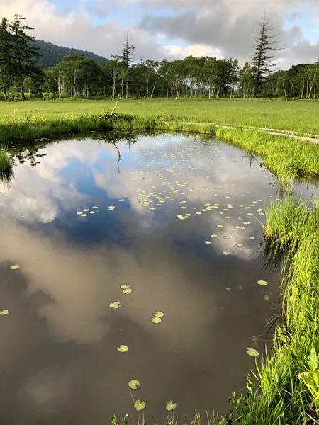 投稿：雨上がり