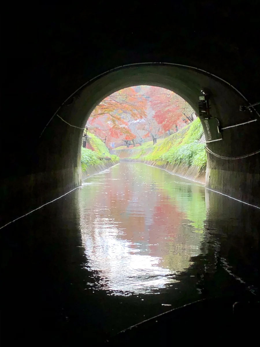 lovelyさんの投稿写真