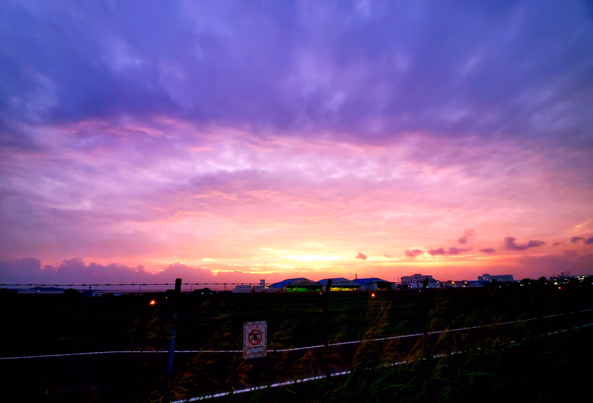 投稿写真：パープルな夕日