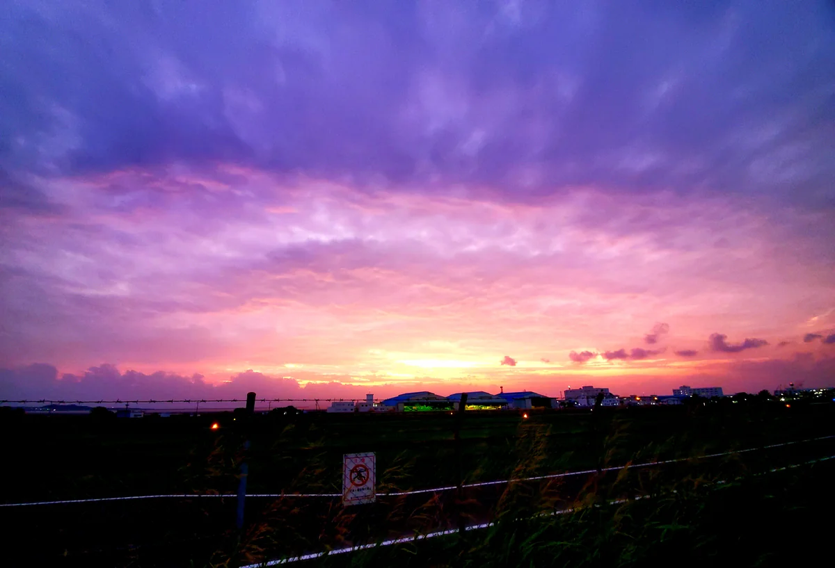 投稿写真：パープルな夕日