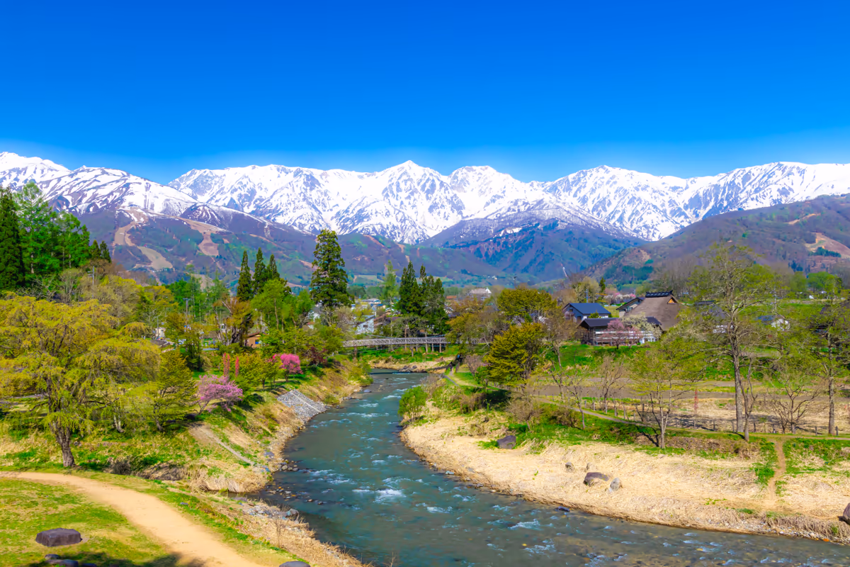 投稿写真：春の北アルプスと姫川の清流