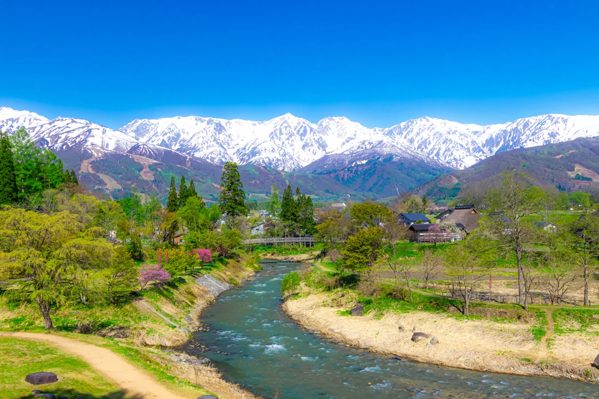投稿写真：春の北アルプスと姫川の清流