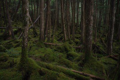  | 絶景事典