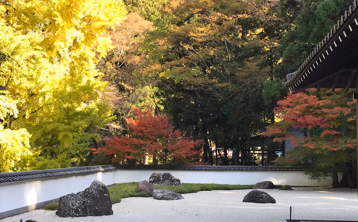 投稿写真：いよいよ最盛期