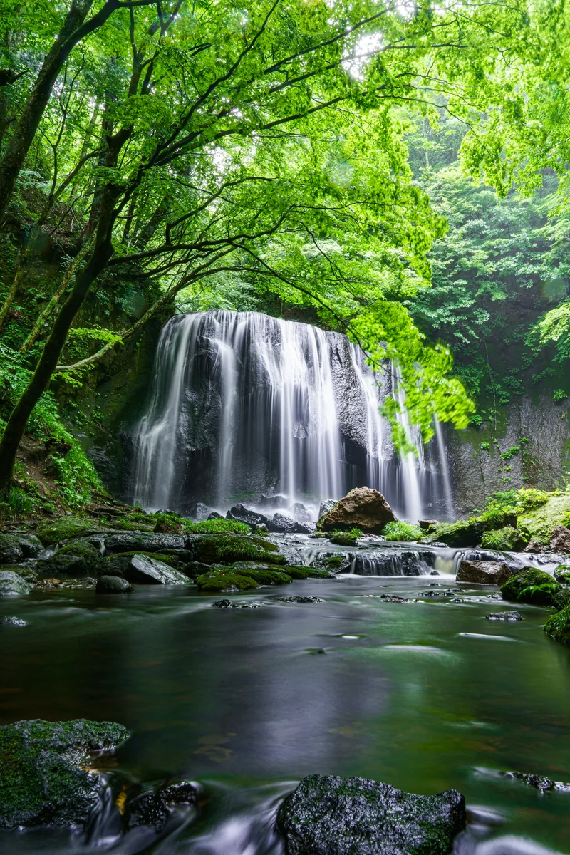 petosaさんの投稿写真