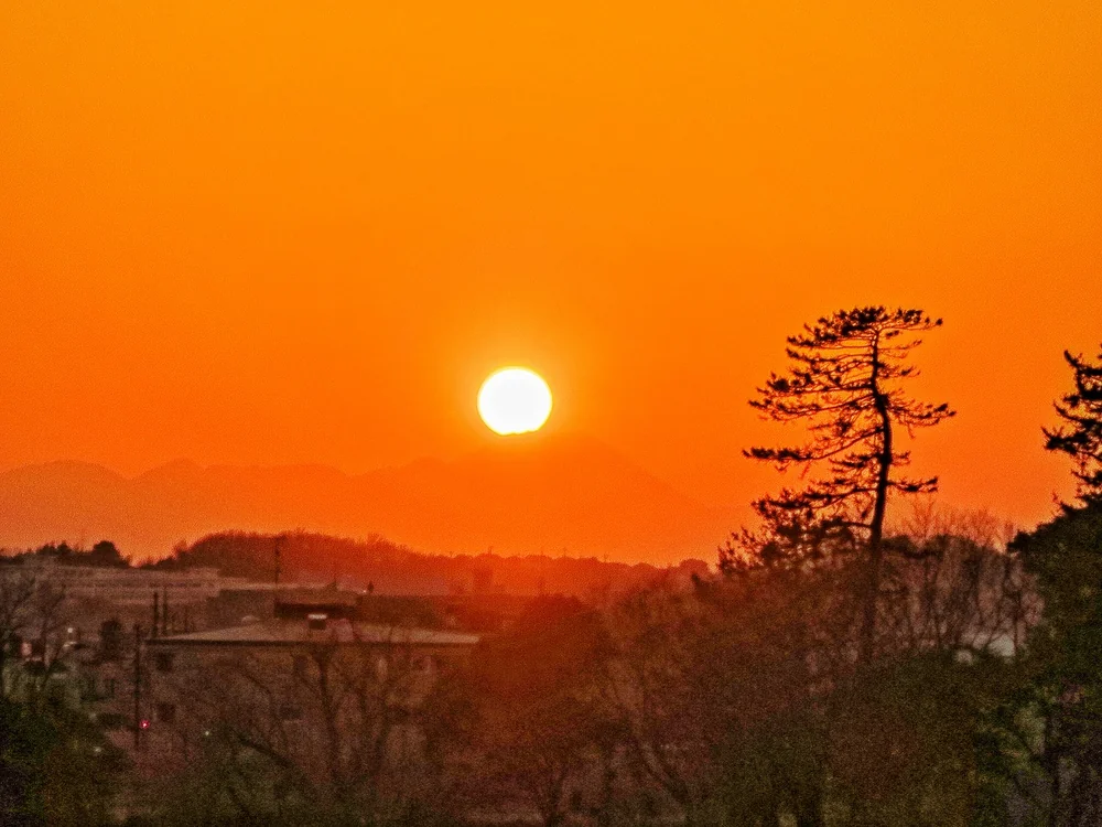 投稿写真：松とダイヤモンド富士の始まり