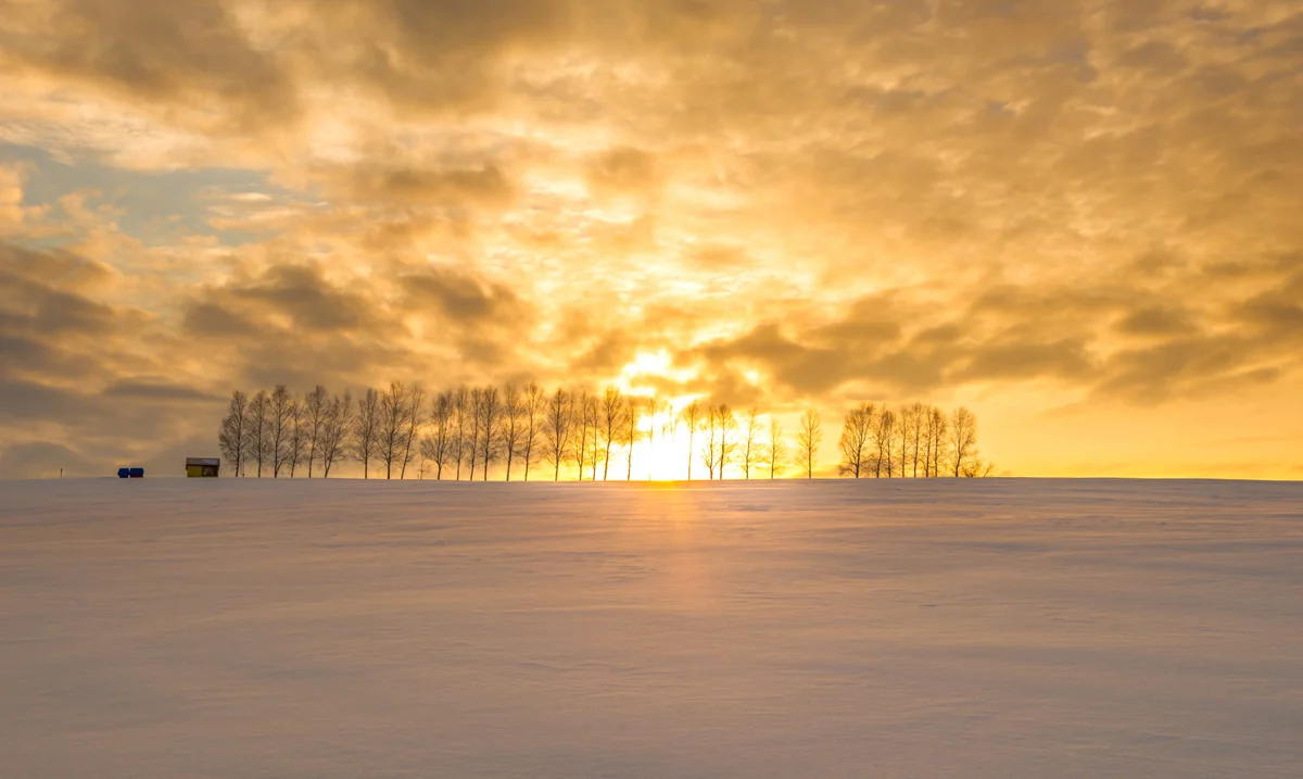 Akinobu Emiさんの投稿写真