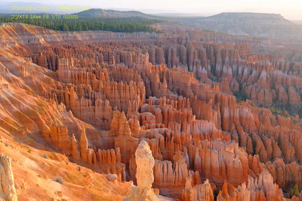 投稿：ブライスキャニオンの夜明け