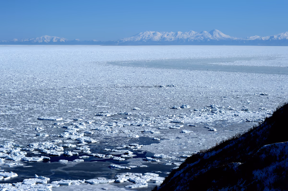 投稿写真：真っ白な海