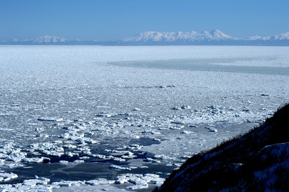 小野忠さんの投稿写真