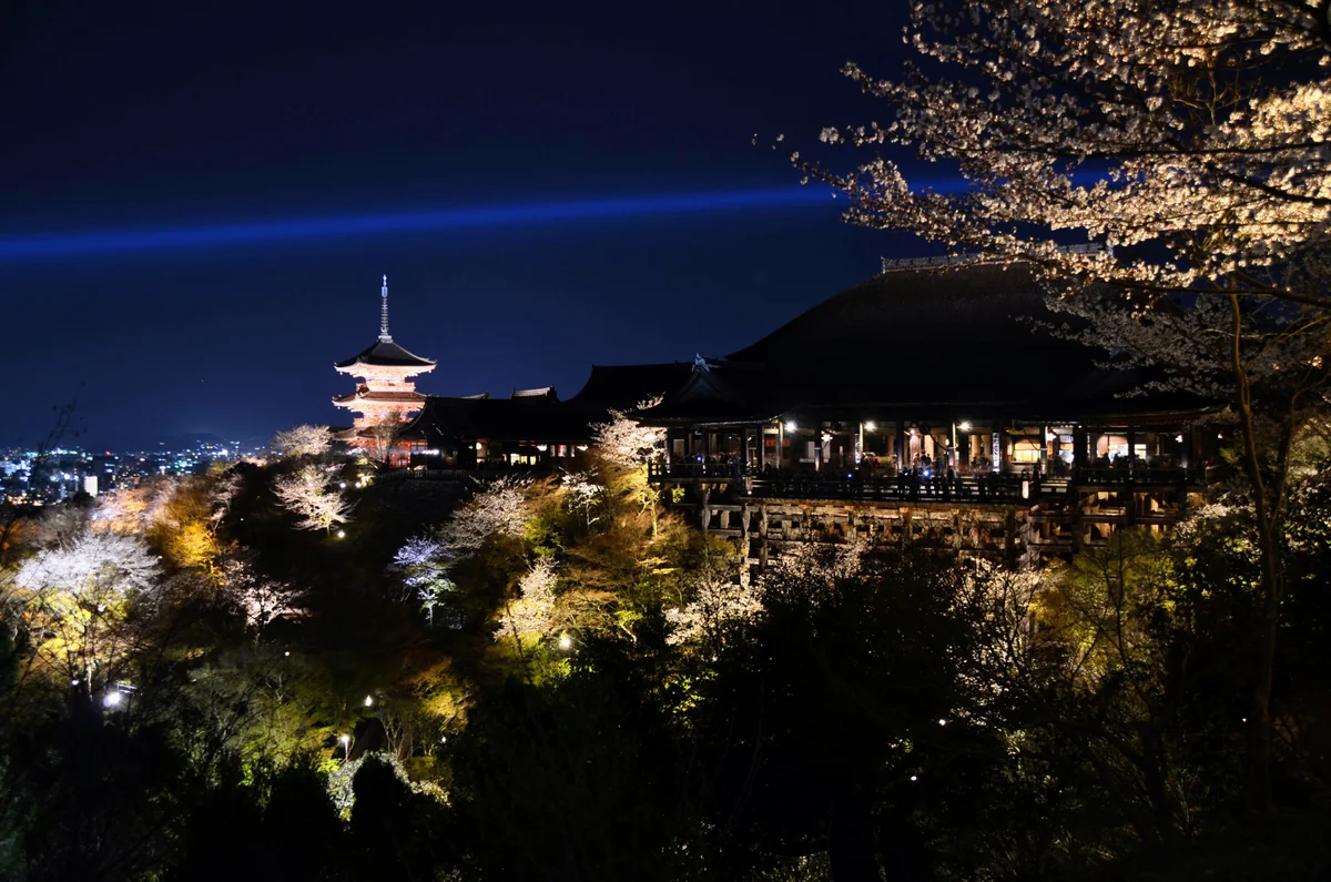 投稿写真：清水寺　夜景