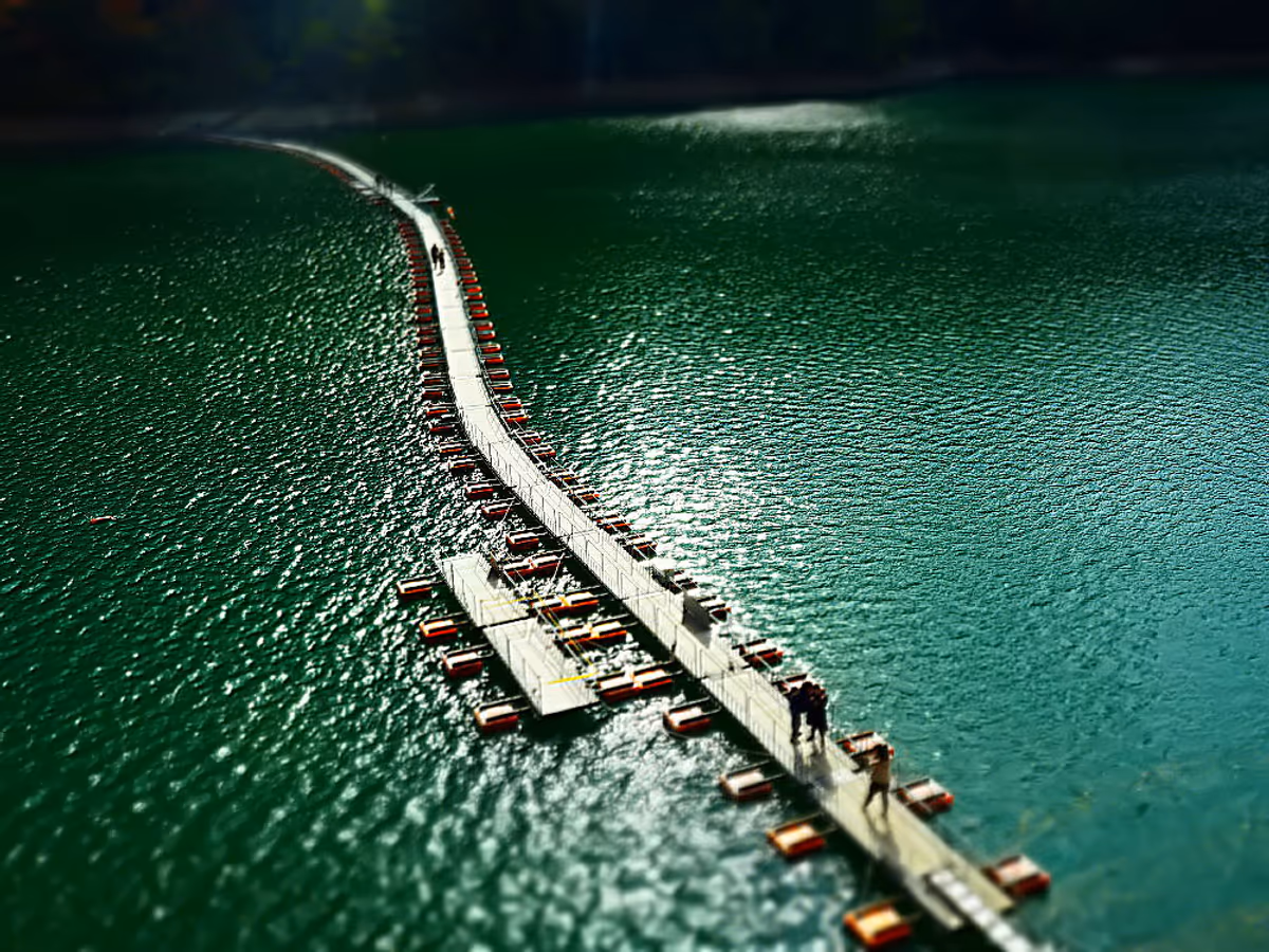 投稿写真：麦山の浮橋