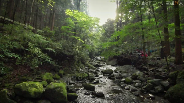投稿：渓流園地キャンプ場内の川