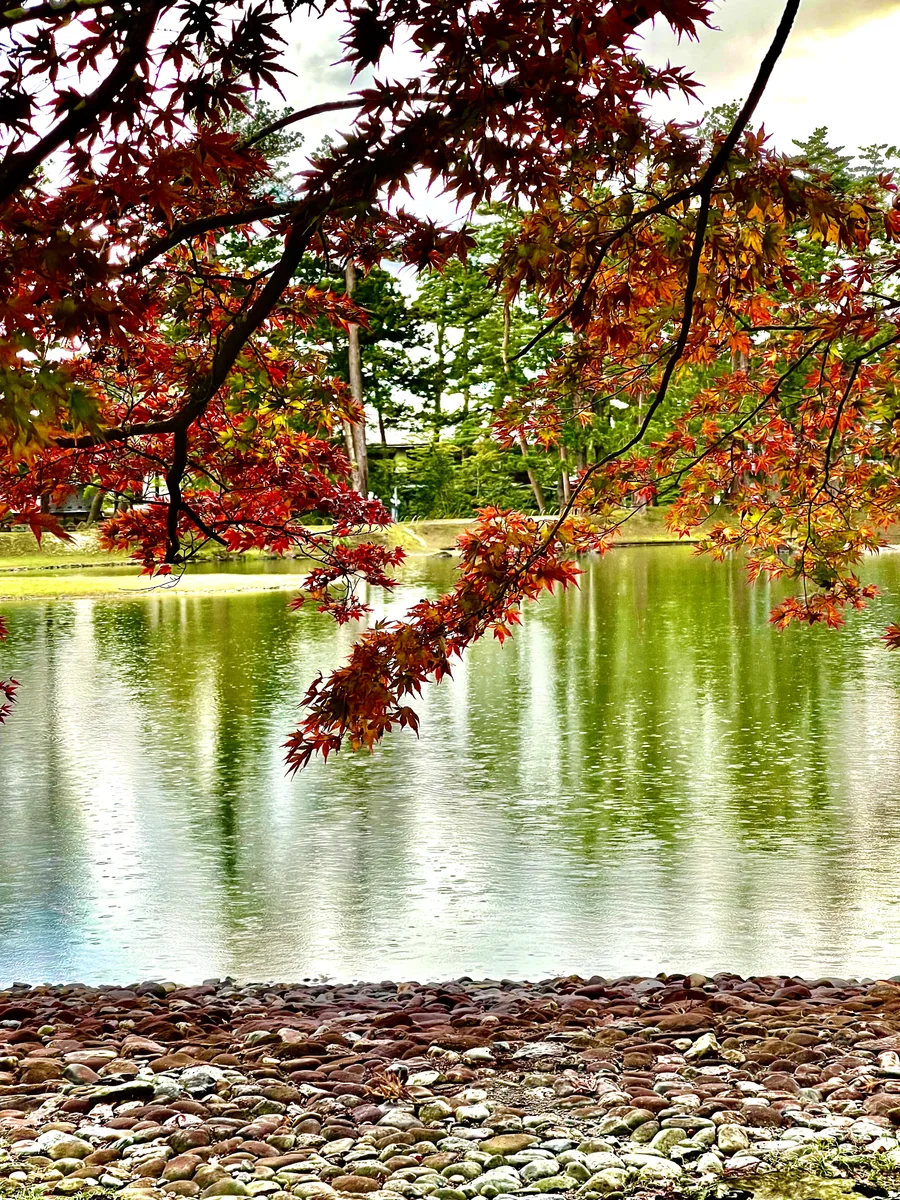 投稿写真：毛越寺