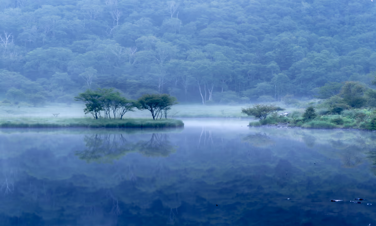 投稿写真：覚満淵