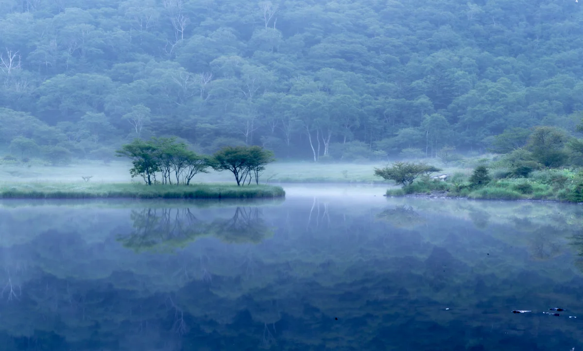 投稿写真：覚満淵
