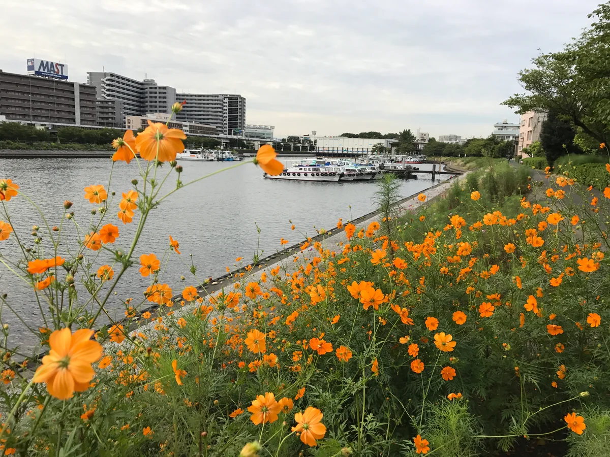 投稿写真：都会のオアシス