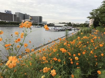  | 絶景事典