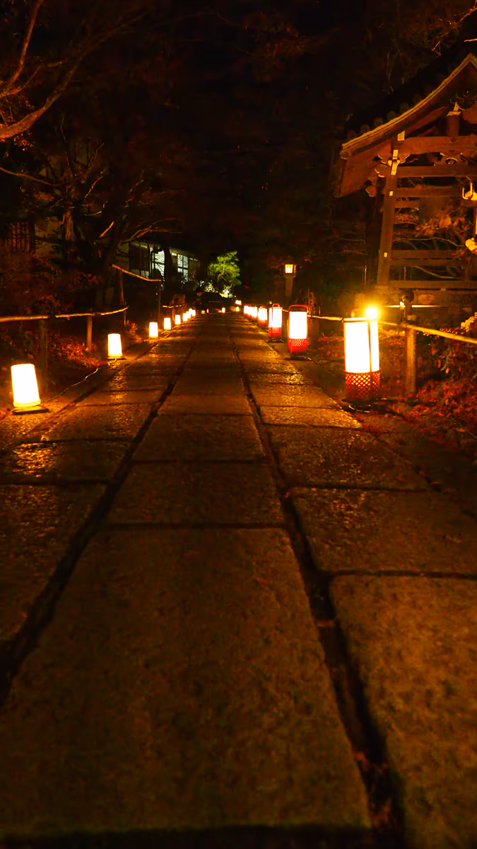 投稿写真：常寂光寺　花灯路